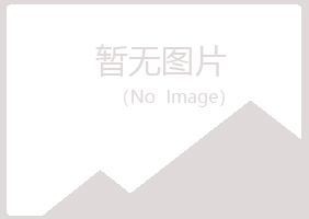 兰山区夏日材料有限公司